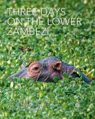 Three days on the lower Zambezi. Ediz. illustrata