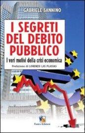 I segreti del debito pubblico: I veri motivi della crisi economica