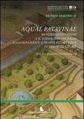 Aquae Patavinae. Montegrotto e il termalismo in Italia. Aggiornamenti e nuove prospettive di valorizzazione