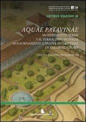 Aquae Patavinae. Montegrotto e il termalismo in Italia. Aggiornamenti e nuove prospettive di valorizzazione