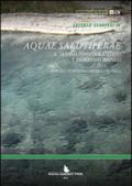 Aquae salutiferae. Il termalismo tra antico e contemporaneo