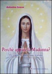 Perché appare la Madonna? Per capire le apparizioni mariane