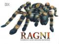 Ragni, scorpioni e altre creature spaventose. Ediz. illustrata