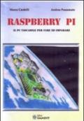 Raspberry Pi. Il PC tascabile per fare