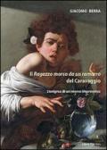 Il ragazzo morso da un ramarro del Caravaggio. L'enigma di un morso improvviso. Ediz. illustrata