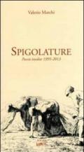 Spigolature. Poesie inedite 1995-2013