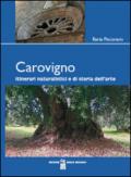 Carovigno. Itinerari naturalistici e di storia dell'arte