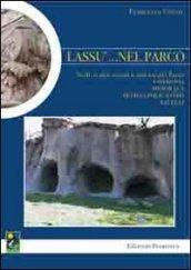 Lassù... nel parco. Nelle realtà sociali a sud-est del parco Cotronei, Mesoraca, Petilia Policastro, Savelli