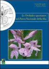 Le orchidee spontanee nel Parco nazionale della Sila