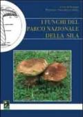 I funghi del Parco nazionale della Sila