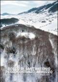 Bosco di Sant'Antonio. Pescocostanzo, Abruzzo. The 23 international Carlo Scarpa prize for gardens. Ediz. multilingue