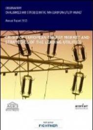 Crisis of european energy market and strategies of the leading utilities