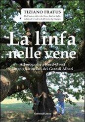 La linfa nelle vene. Alberografie a Nord-Ovest lungo gli itinerari dei grandi alberi