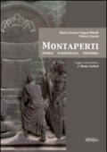 Montaperti. Storia, iconografia e memoria
