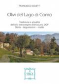 Olivi del lago di Como. Tradizione e attualità