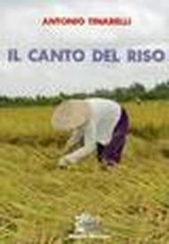 Il canto del riso