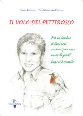 Il volo del pettirosso