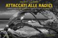 Attaccati alle radici. Immagini e storie di alberi della Sardegna. Ediz. italiana e inglese