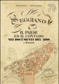 Seggiano. Il paese ed il contado. Nei documenti del 1800 e dintorni. Con CD-ROM