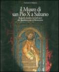 Il museo di San Pio X a Salzano. Argenti, tessuti e arredi sacri dal Quattrocento al Novecento. Ediz. illustrata