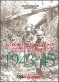 Non solo partigiani. Eposidi e battaglie del Corpo Italiano di Liberazione (1943-1945)