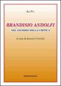 Brandisio Andolfi nel giudizio della critica