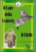 Il cane della prateria e il Citello