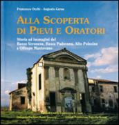 Alla scoperta di pievi e oratori. Storia ed immagini del basso veronese, bassa padovana, alto Polesine e Oltrepo mantovano