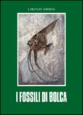 I fossili di Bolca