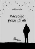 Raccolgo pezzi di ali