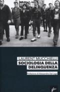 Sociologia della delinquenza