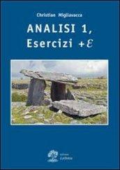 Analisi matematica. Esercizi + E: 1