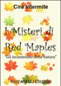 Gli incantesimi della natura. I misteri di Red Maples