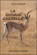 La giovane gazzella