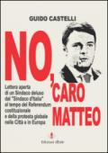 No, caro Matteo. Lettera aperta di un sindaco deluso dal sindaco d'Italia al tempo del referendum costituzionale e della protesta globale nelle città e in Europa