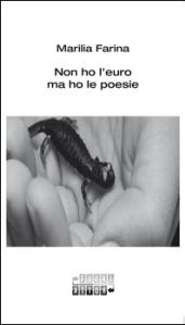 Non ho l'euro ma ho le poesie