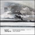 Iceland-Boiling Ice. Contemporary artists from Iceland. Ediz. multilingue