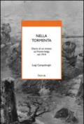 Nella tormenta. Diario di un inviato sul fronte belga nel 1914