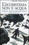 L'ecosistema non è acqua. Di lagune, disastri ambientali e futuro