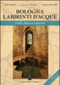 Bologna labirinti d'acque. Guida, itinerari e percorsi