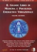 Il grande libro di medicina e psicologia energetico vibrazionale. Vol. 2