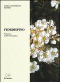 Fiordispino