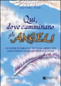 Qui dove camminano gli angeli. In onore di Sara e di tutti gli angeli che sono passati velocemente sulla terra