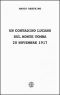 Un contadino lucano sul monte Tomba (20 novembre 1917)