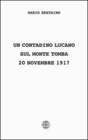 Un contadino lucano sul monte Tomba (20 novembre 1917)