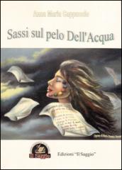 Sassi sul pelo dell'acqua