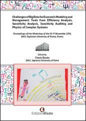 Challenges of big data for economic modeling and management. Tools from efficiency analysis, sensitivity analysis, sensitivity auditing and physics of complex system