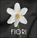 Fiori di montagna. Calendario 2016