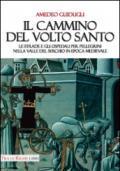 Il cammino del volto santo. Le strade e gli ospedali per pellegrini nella Valle del Serchio in epoca medievale