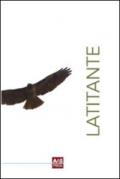 Latitante